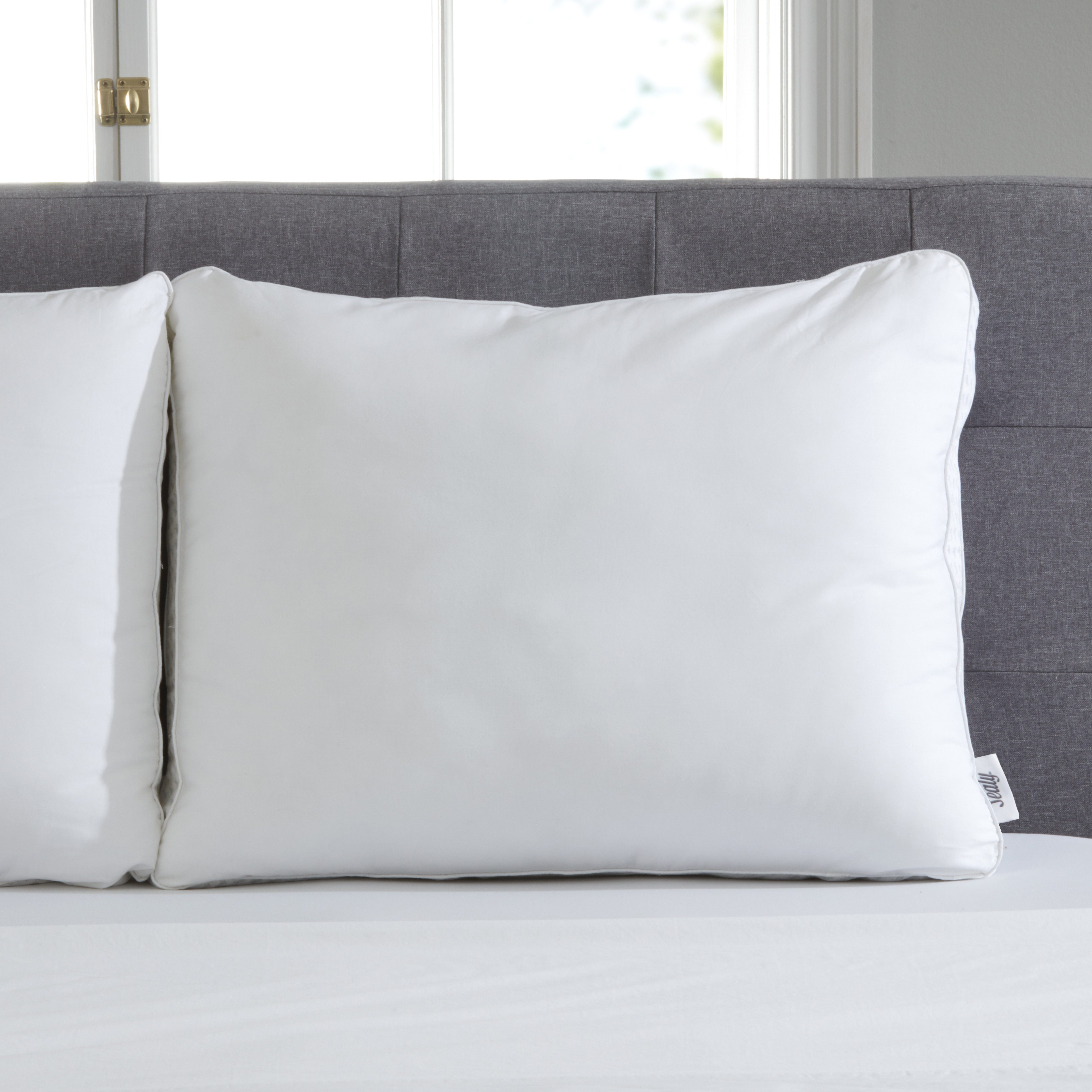 Sealy Down Alternative Memory Foam Pillow Reviews Wayfair